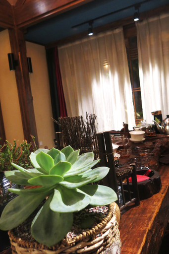 Food & Drinks 4, Nali Hotel, Xishuangbanna Dai