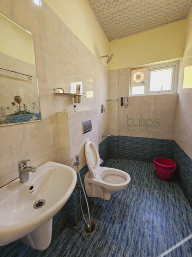 Bathroom 3, Tulips Village Resorts, The Nilgiris