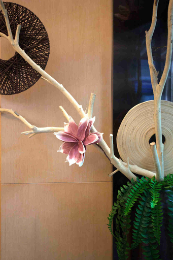 Others 5, City Season Hotel, Xiangxi Tujia and Miao