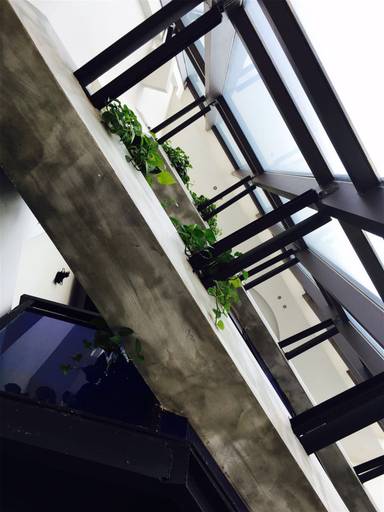 Others 4, Rena Boutique Hotel, Yangzhou