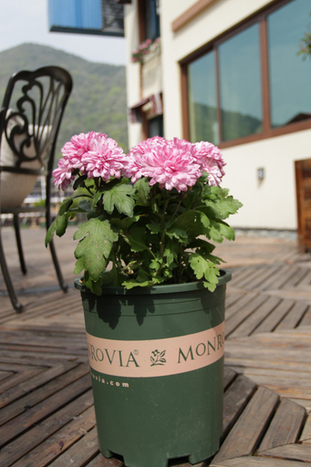 Others 2, Love the sea time theme inn, Zhoushan