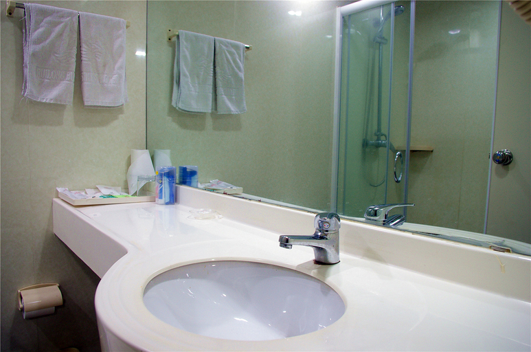 Bathroom 3, Ruilong Business Hotel, Xinyang