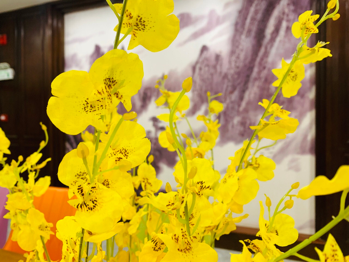 Others 4, Yahao Luxury Hotel (Shenzhen Airport Wanfu Plaza), Shenzhen