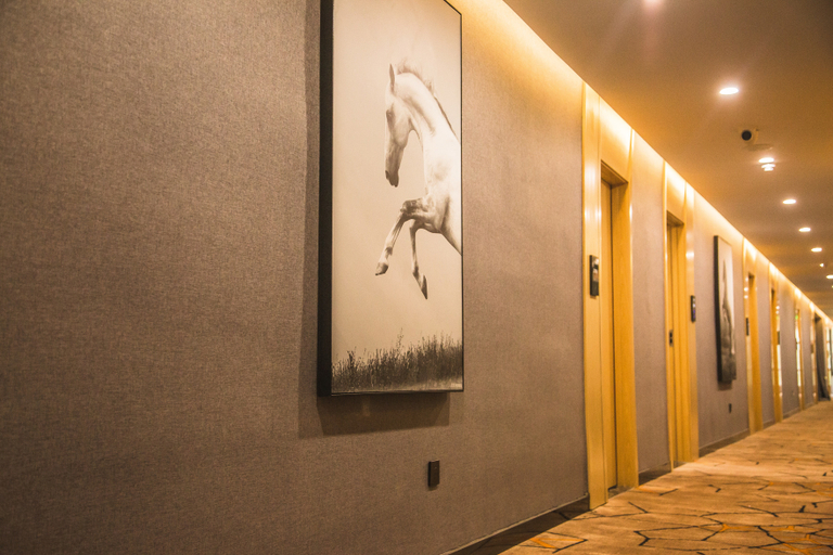 Others 3, Junyi Hotel (Feidong Huadong Building Materials Center), Hefei
