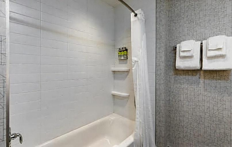 Bathroom 3, Holiday Inn Express LETHBRIDGE SOUTHEAST, Division No. 2