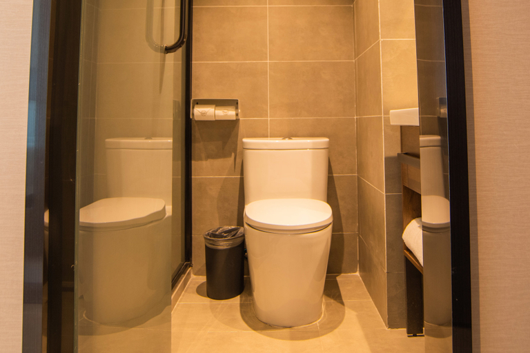 Bathroom 2, HanTing Hotel (Dacheng Hongmu City), Langfang