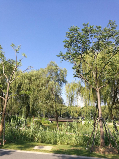 Others 4, Manston Select Hotel(Hefei college), Hefei