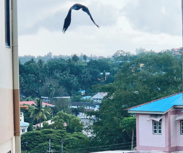 Exterior & Views 2, Sea Pearl Homestay, South Andaman