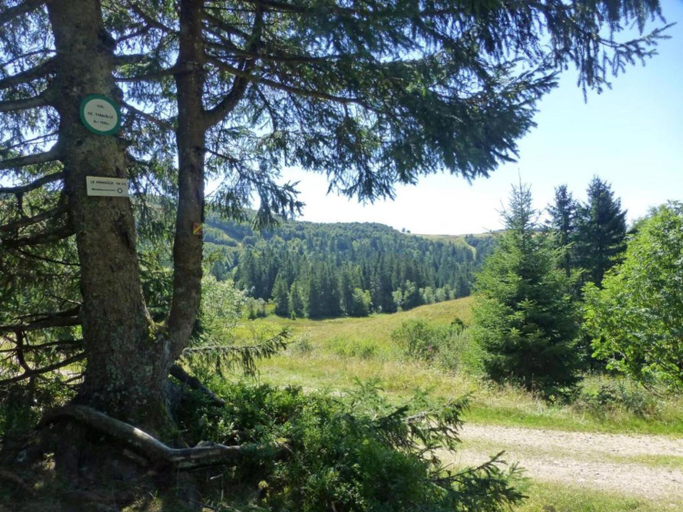 Surrounding environment 4, Chalet in La Bresse near Forest & Lake, Vosges