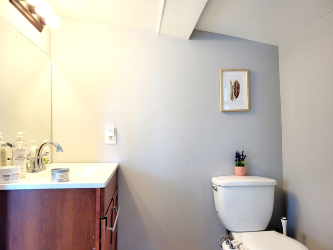 Bathroom 4, Budget Bed Room near Downtown, Baltimore