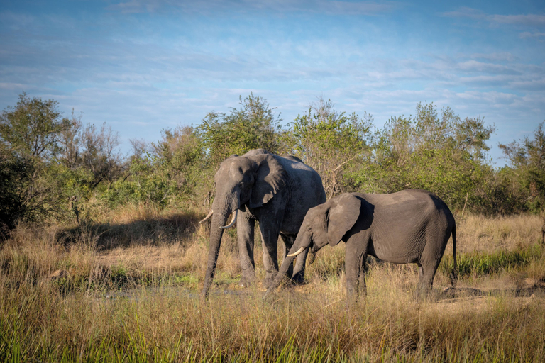 Miscellaneous 3, Satara Wild Camp- Greater Kruger, Ehlanzeni