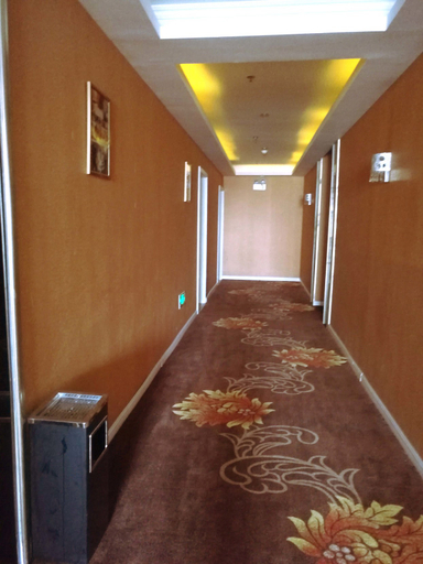 Others 1, Shenger Fashionable Hotel, Neijiang