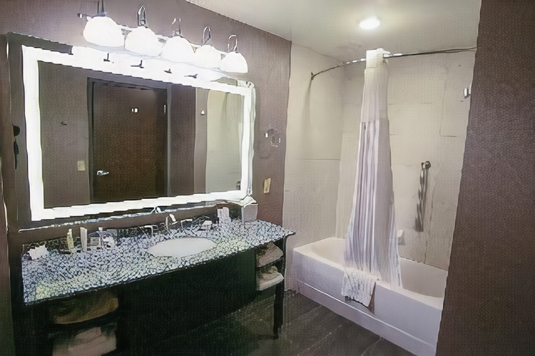 Bathroom 4, DoubleTree by Hilton Bemidji, Beltrami