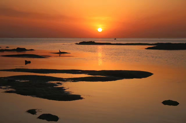 Others 4, Jinhai Garden Hotel, Rizhao