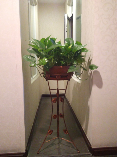 Others 4, JM Business Hotel, Guangzhou