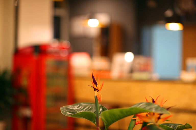 Food & Drinks 4, Ripple Hotel (Rizhao Lecheng Huoche), Rizhao