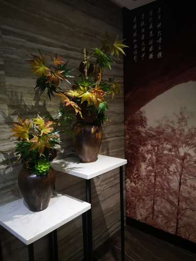 Others 4, Xinning Danxia Impression Theme Hotel, Shaoyang