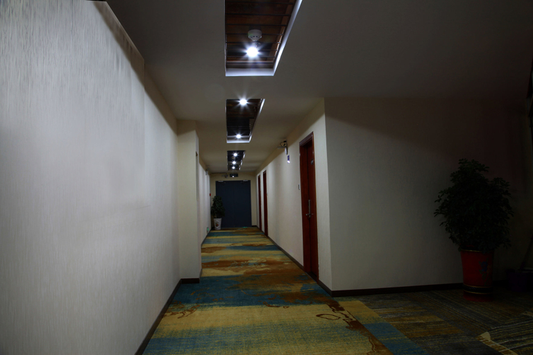 Others 2, Jiayue Hotel, Enshi Tujia and Miao