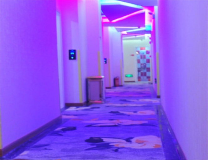 Others 5, Jianghe Zhidu Theme Hotel, Luzhou