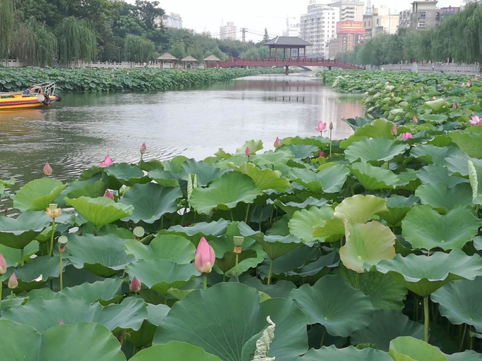 Others 3, Rebecca Hotel (Xuchang Caowei Ancient Town Pangdonglai Times Square), Xuchang