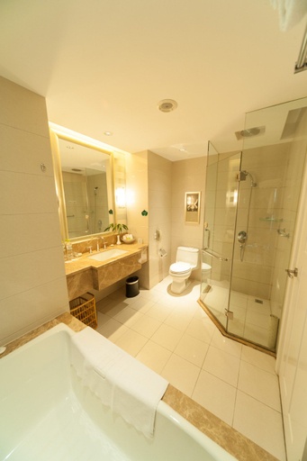 Bathroom 4, Juneyao International Hotel, Yichang