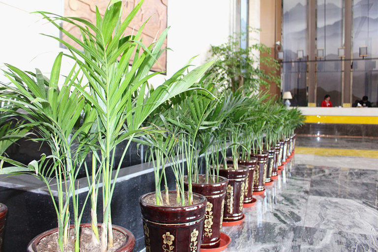 Food & Drinks, Mingzhu Hotel, Jiuquan