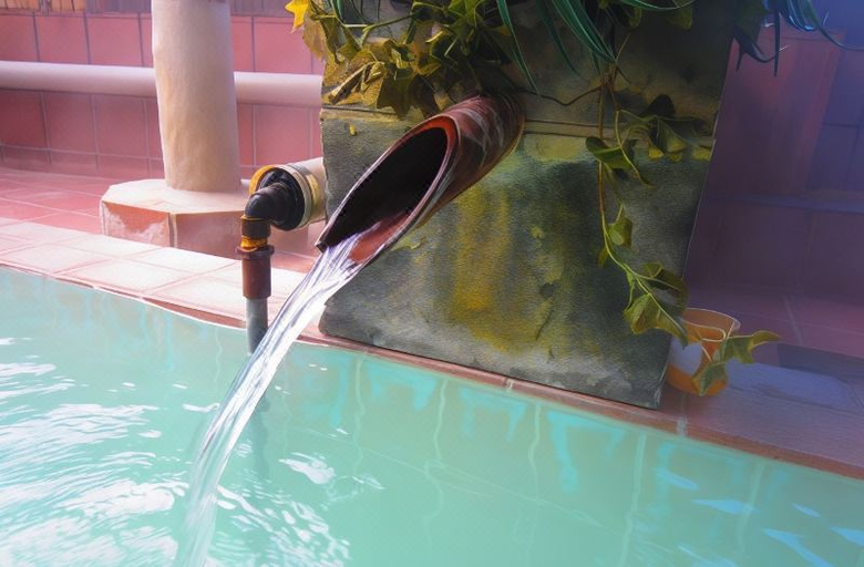 Sport & Beauty 5, Hirasawaya Ryokan, Inawashiro