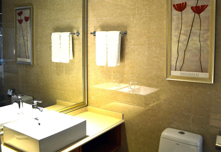 Bathroom 2, ホリデイホテル (フフホトセンター), Hohhot