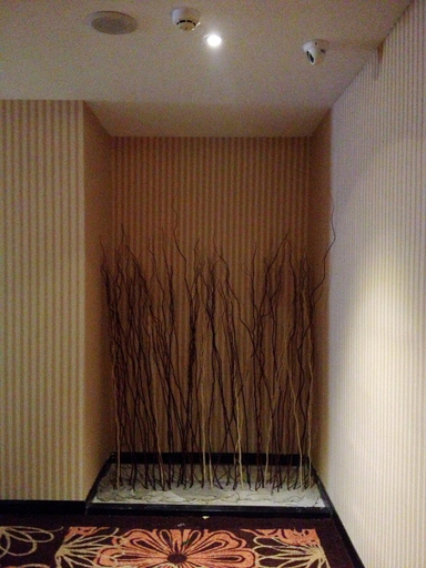 Others 4, A Jia Chain Hotel Changzhou University City, Changzhou