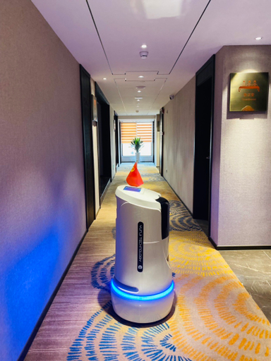 Others 3, TILL BRIGHT Hotel (Leiyang Zhongxing Times Plaza), Hengyang