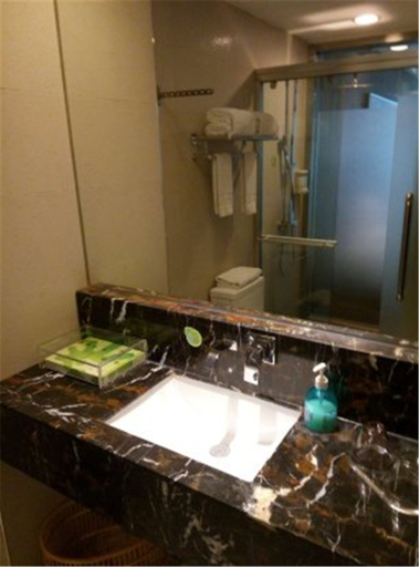 Bathroom 2, Zhenghe Holiday Hotel, Shangluo