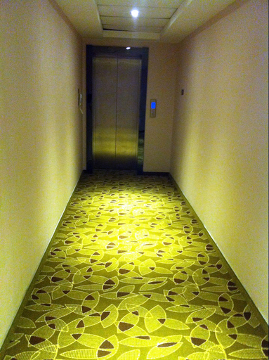 Others 5, Eaka 365 Hotel Xinle Meiyuan, Shijiazhuang