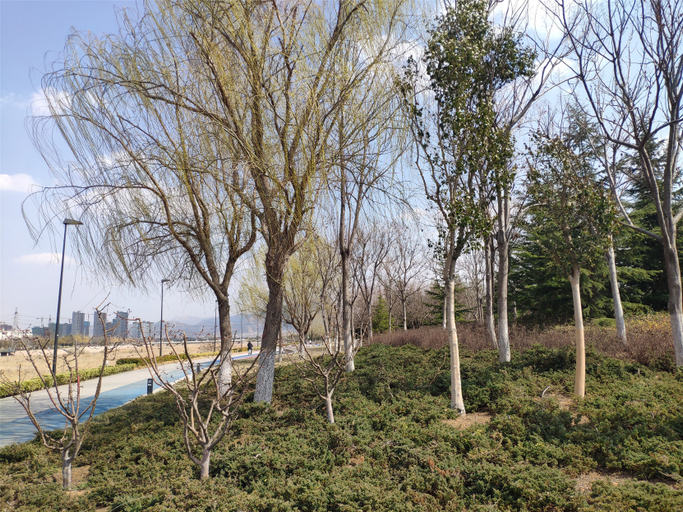 Others 5, Weikang Soho Business Hotel, Linyi