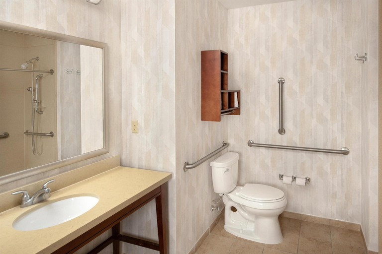 Bathroom 4, Hampton Inn Austin/Oak Hill, Travis