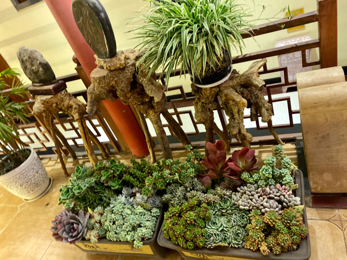 Others 2, Fanya Business Hotel, Chuxiong Yi