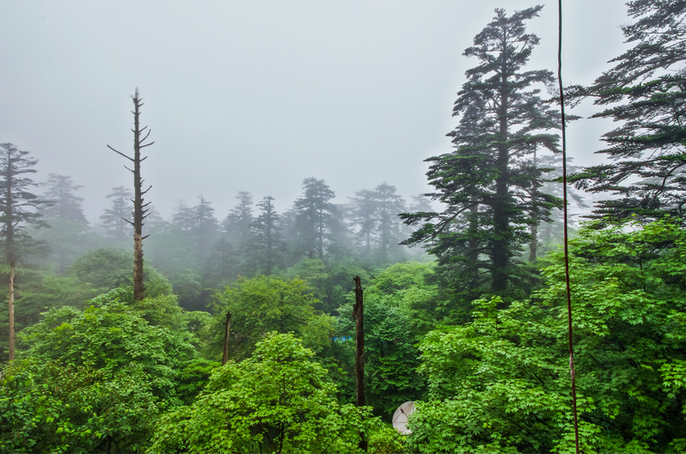 Others 5, Jufenglou Hotel, Leshan
