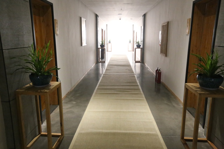 Others 3, Camphor Tree Boutique Hotel, Luoyang