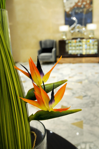 Food & Drinks, PARK SOURCE HOTEL, Zunyi