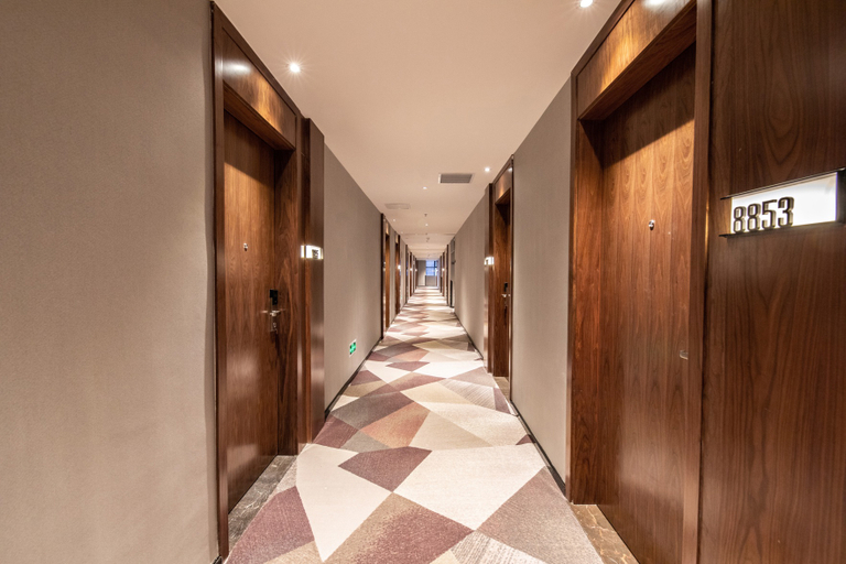 Others 5, Borrman Hotel Hengyang Huaxin Caixia Street, Hengyang