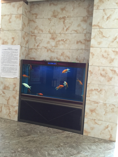 Others 3, Jinxiushan Hotel, Xinyang