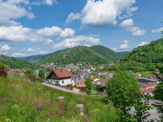 Surrounding environment 2, Chalet in La Bresse near Forest & Lake, Vosges
