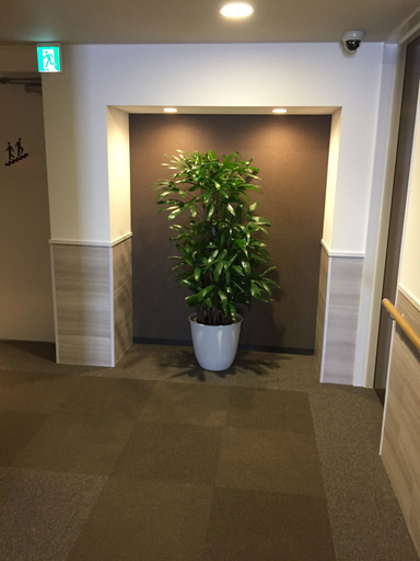 Others 2, Hotel Oxio, Okayama