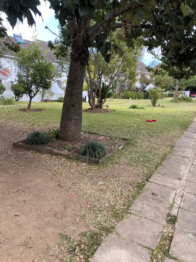 Garden, The Place, Mutare