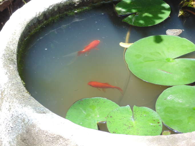 Others 2, Jian Hua Hotel, Pu'er