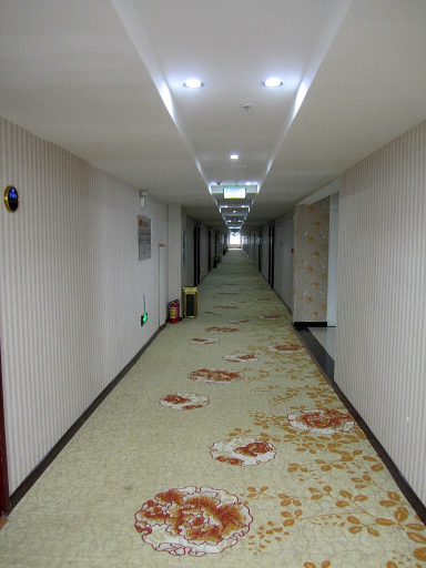 Others 4, Zijincheng Business Hotel (Lushan Xiangyang Road), Pingdingshan