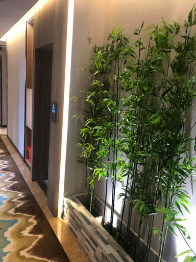 Others 5, Hengfeng Hotel, Shanghai