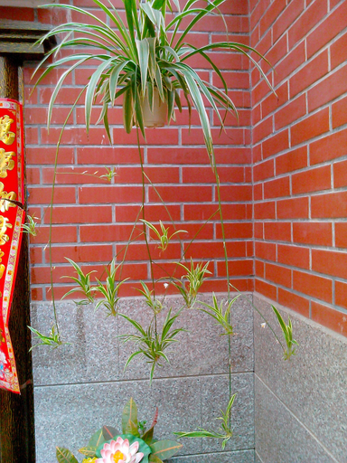 Others 5, Soft Time Hotel, Xiamen