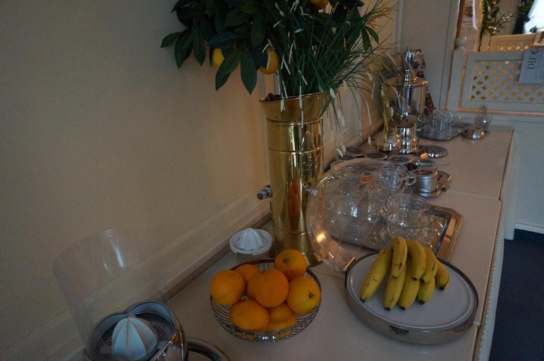 Food & Drinks 5, ホテル ブルクホフ(Hotel Burghof), Hof