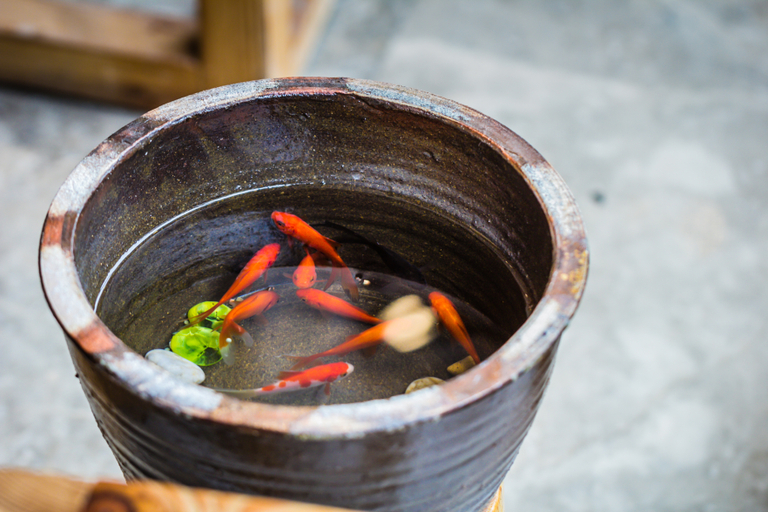 Food & Drinks 4, wuyishanlifengjiudian, Nanping