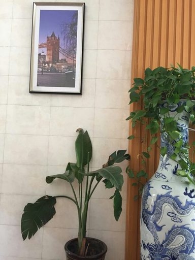 Others 2, Raphael Business Hotel (Xinjin Middle School Branch), Chengdu